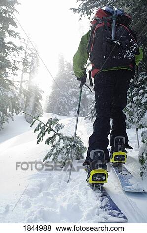 Stock Photo - Cross country skiing. Fotosearch