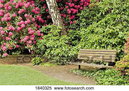 Crystal Springs Rhododendron Garden, Portland, Oregon, USA View Large Photo Image Stock Photography - Crystal Springs Rhododendron Garden, Portland, Oregon, USA. Fotosearch