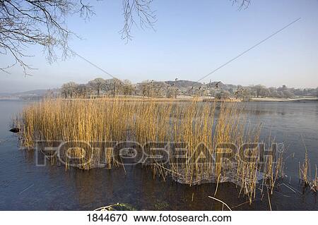 Cumbria, England; Ice forming on a pond View Large Photo Image Stock Image - Cumbria, England; Ice forming on a pond. Fotosearch