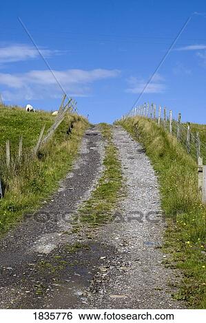 Stock Photograph - Dirt road, Colonsay, Scotland. Fotosearch