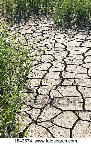 Dried river bed during drought View Large Photo Image Picture - Dried river bed during drought. Fotosearch