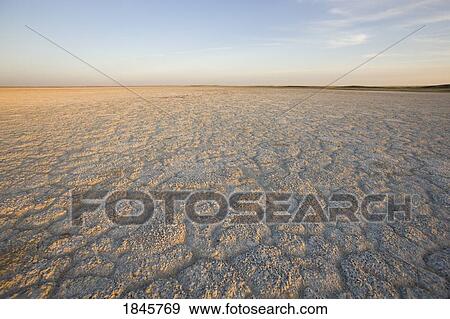 Dry ground reaching into the horizon View Large Photo Image Stock Photo - Dry ground reaching into the horizon. Fotosearch
