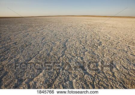 Dry ground reaching into the horizon View Large Photo Image Stock Photograph - Dry ground reaching into the horizon. Fotosearch