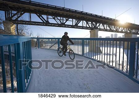 Edmonton, Alberta, Canada; Person riding a bicycle with bridge in background View Large Photo Image Stock Photo - Edmonton, Alberta, Canada; Person riding a bicycle with bridge in background. Fotosearch