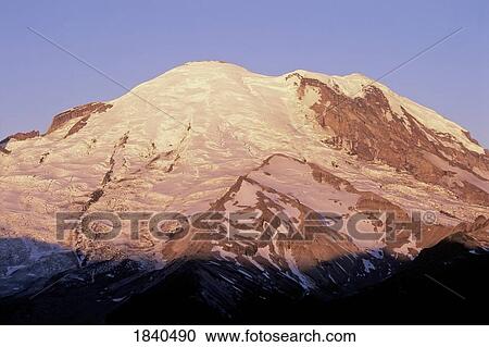 Emmons Glacier, Mount Rainier, Washington, USA View Large Photo Image Stock Image - Emmons Glacier, Mount Rainier, Washington, USA. Fotosearch
