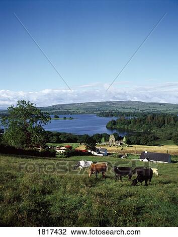Stock Image - Farmscape. Fotosearch
