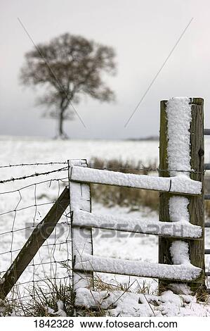 Fence in winter View Large Photo Image Stock Photo - Fence in winter. Fotosearch
