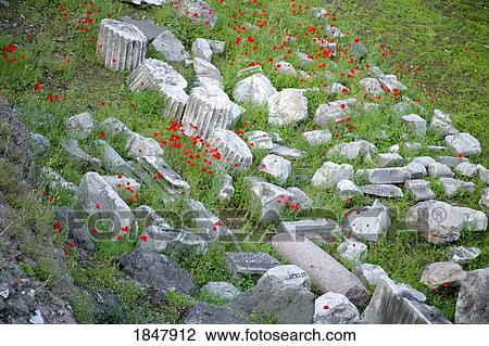 Florence, Italy; flowers growing among ruins View Large Photo Image Stock Image - Florence, Italy; flowers growing among ruins. Fotosearch