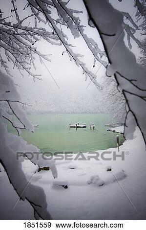 Fresh snowfall View Large Photo Image Stock Photo - Fresh snowfall. Fotosearch
