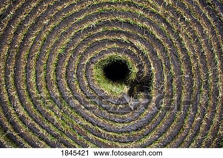 Fresh sod View Large Photo Image Stock Image - Fresh sod. Fotosearch