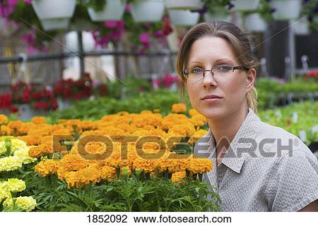 Greenhouse; Woman with flowers View Large Photo Image Stock Image - Greenhouse; Woman with flowers . Fotosearch