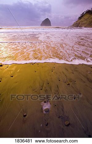 Stock Image - Haystack Rock, Cape Kiwanda, Oregon Coast, USA. Fotosearch