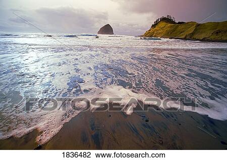 Haystack Rock, Cape Kiwanda, Oregon Coast, Oregon, USA View Large Photo Image Stock Image - Haystack Rock, Cape Kiwanda, Oregon Coast, Oregon, USA. Fotosearch