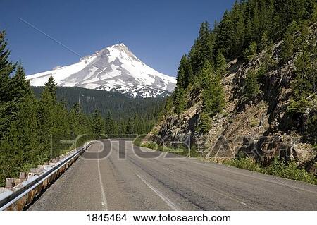 Picture - Highway through Mount Hood National Forest, Oregon, United States of America. Fotosearch