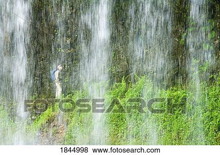 Hiker at Middle North Falls, Silver Falls State Park, Oregon, United States of America View Large Photo Image Stock Photo - Hiker at Middle North Falls, Silver Falls State Park, Oregon, United States of America. Fotosearch