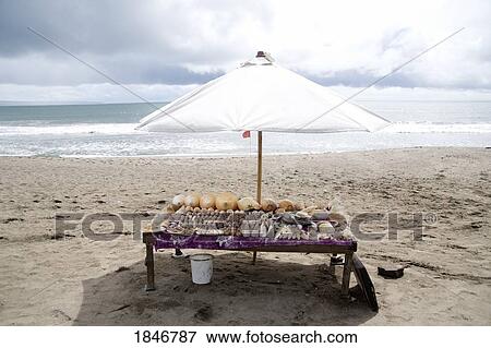 Indonesia; Table with shell display View Large Photo Image Stock Photo - Indonesia; Table with shell display. Fotosearch