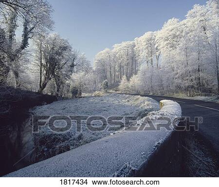 Picture - Ireland near Minnowburn Beeches. Fotosearch