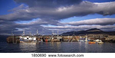 Stock Image - Kintyre, Scotland; Fishing boats in Carradale Harbour. Fotosearch