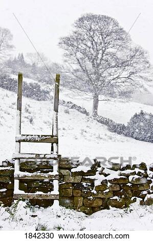 Ladder over stone fence in winter, North Yorkshire, England View Large Photo Image Stock Image - Ladder over stone fence in winter, North Yorkshire, England. Fotosearch