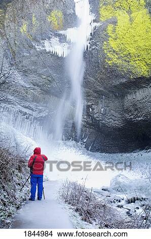 Latourell Falls, Columbia River Gorge, Oregon, USA; Photographer View Large Photo Image Picture - Latourell Falls, Columbia River Gorge, Oregon, USA; Photographer . Fotosearch