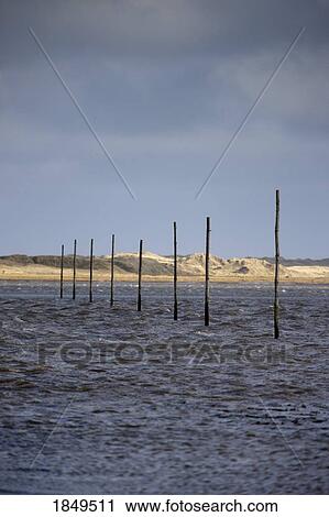 Stock Image - Lindisfarne, England; Wooden posts in the water. Fotosearch