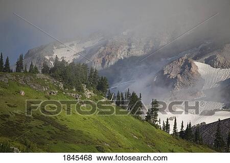 Low lying cloud in Mount Rainier National Park, Washington, United States of America View Large Photo Image Stock Photo - Low lying cloud in Mount Rainier National Park, Washington, United States of America. Fotosearch