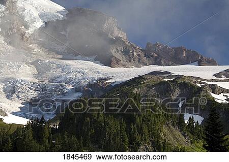 Stock Photo - Low lying cloud in Mount Rainier National Park, Washington, United States of America. Fotosearch