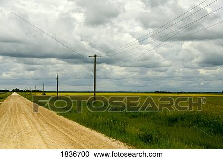 Manitoba, Canada; Power lines and rural road View Large Photo Image Stock Image - Manitoba, Canada; Power lines and rural road. Fotosearch