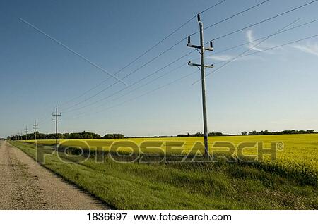 Stock Photo - Manitoba, Canada; Power lines. Fotosearch