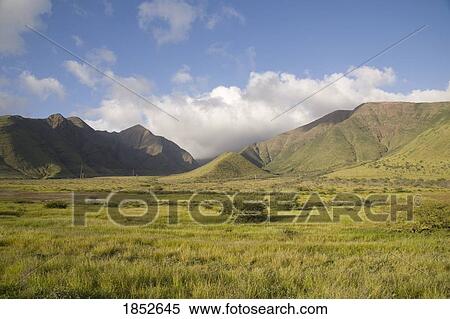 Maui, Hawaii, USA; Hawaiian landscape View Large Photo Image Stock Photography - Maui, Hawaii, USA; Hawaiian landscape . Fotosearch