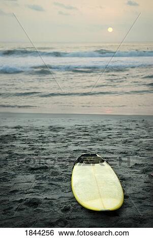 Mexico; Surfboard lying on sand View Large Photo Image Stock Photograph - Mexico; Surfboard lying on sand. Fotosearch