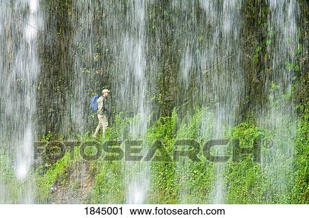 Stock Image - Middle North Falls, Silver Falls State Park, Oregon, USA; Hiker. Fotosearch
