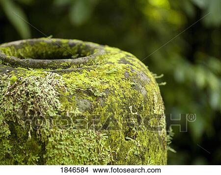 Moss covered urn View Large Photo Image Picture - Moss covered urn. Fotosearch