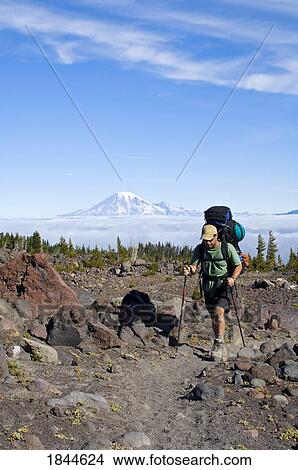 Picture - Mount Adams Wilderness Washington State USA; Hiker walking past Mount Rainier. Fotosearch