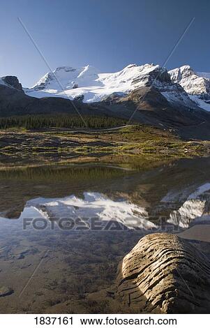 Mount Athabasca, Columbia Icefield, Jasper National Park, Alberta, Canada View Large Photo Image Stock Image - Mount Athabasca, Columbia Icefield, Jasper National Park, Alberta, Canada . Fotosearch