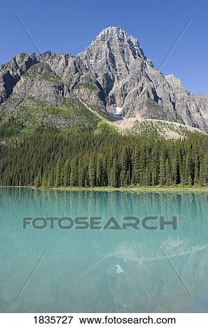 Mount Chephren, Chephren Lake, Banff National Park, Banff, Alberta, Canada View Large Photo Image Stock Photo - Mount Chephren, Chephren Lake, Banff National Park, Banff, Alberta, Canada. Fotosearch
