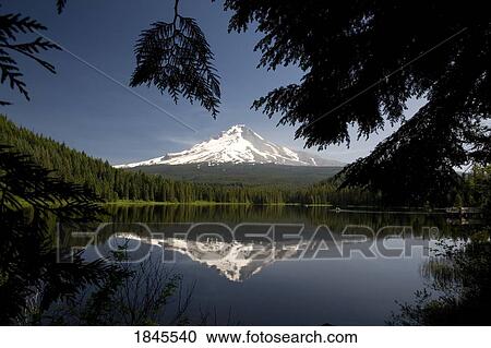 Stock Image - Mount Hood reflected in Trillium Lake, Mount Hood National Forest, Oregon, USA. Fotosearch