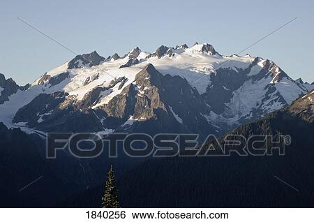 Stock Photograph - Mount Olympus, Olympic National Park, Washington, USA. Fotosearch