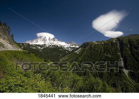 Mount Rainier, Mount Rainier National Park, Washington State, USA View Large Photo Image Stock Image - Mount Rainier, Mount Rainier National Park, Washington State, USA . Fotosearch