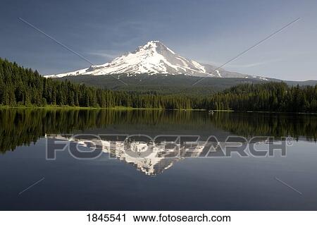 Stock Image - Mountain reflected in Trillium Lake, Mount Hood National Forest, Oregon, United States of America. Fotosearch