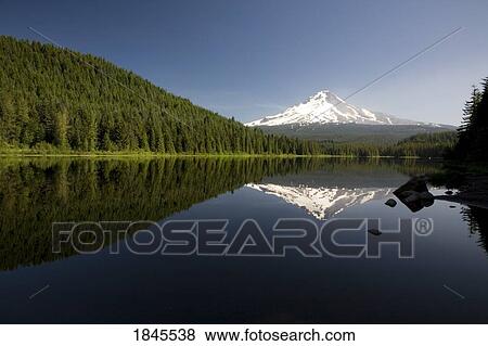 Mountain reflected in Trillium Lake, Mount Hood National Forest, Oregon, United States of America View Large Photo Image Stock Photo - Mountain reflected in Trillium Lake, Mount Hood National Forest, Oregon, United States of America. Fotosearch