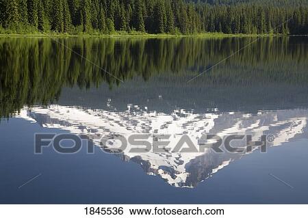 Mountain reflected in Trillium Lake, Mount Hood National Forest, Oregon, United States of America View Large Photo Image Stock Photograph - Mountain reflected in Trillium Lake, Mount Hood National Forest, Oregon, United States of America. Fotosearch