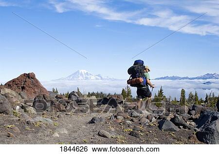 Stock Photograph - Mt. Adams Wilderness Washington State USA; Hiker walking through Avalanche Valley Camp. Fotosearch