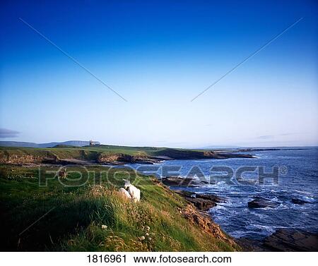 Mullaghmore, County Sligo, Ireland View Large Photo Image Stock Image - Mullaghmore, County Sligo, Ireland. Fotosearch