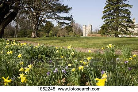 Northumbeland, England; Wildflowers View Large Photo Image Stock Photo - Northumbeland, England; Wildflowers. Fotosearch
