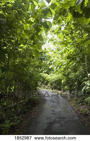 Nusa Dua, Bali, Indonesia; small road View Large Photo Image Stock Photo - Nusa Dua, Bali, Indonesia; small road. Fotosearch