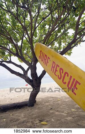 Picture - Nusa Dua beach, Nusa Dua, Bali, Indonesia; Rescue craft leaning on tree. Fotosearch