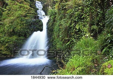 O' Sullivans Cascade, Killarney National Park, County Kerry, Ireland View Large Photo Image Stock Image - O' Sullivans Cascade, Killarney National Park, County Kerry, Ireland. Fotosearch
