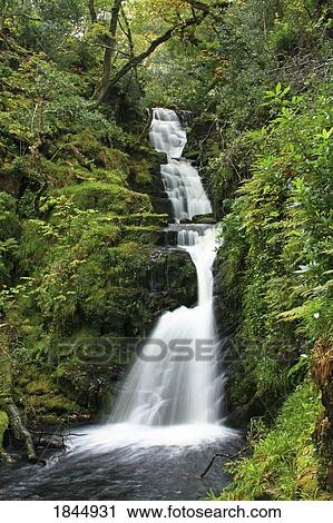 Stock Image - O' Sullivans Cascade, Killarney National Park, County Kerry, Ireland. Fotosearch