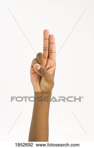 Stock Image - One hand; making the letter "U" in sign language. Fotosearch